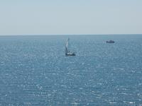 DSCN0496