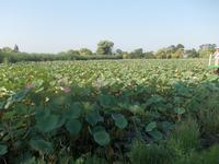 DSCN0432