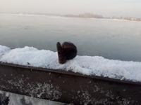 патрон