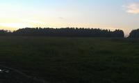 поле