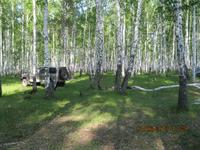 одинокий железный конь привёз...-все в поле с мд