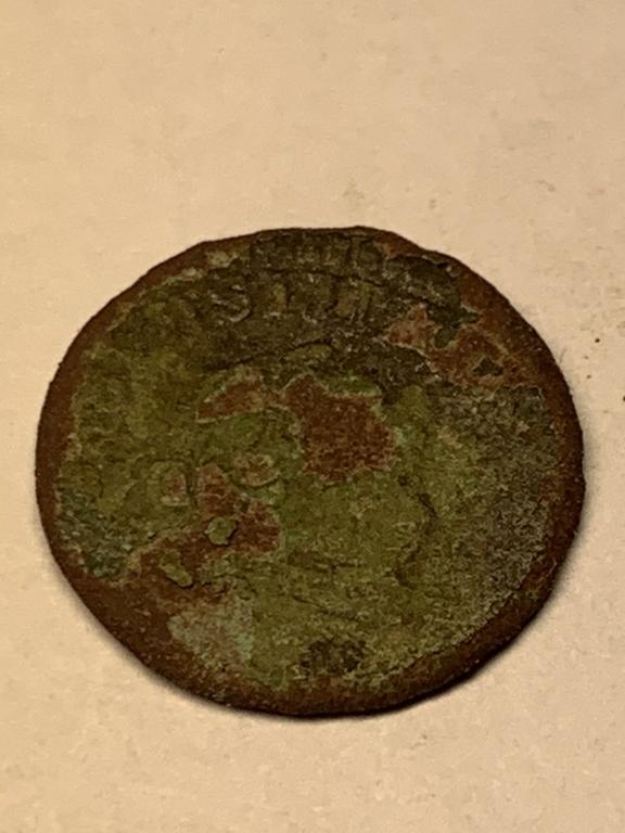 Кругляк неопознанный