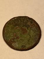 Кругляк неопознанный