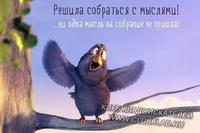 мысли