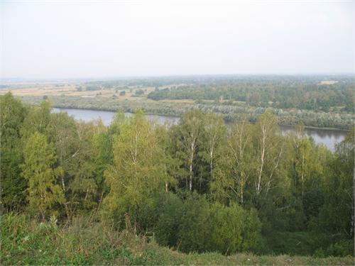 1171.jpg