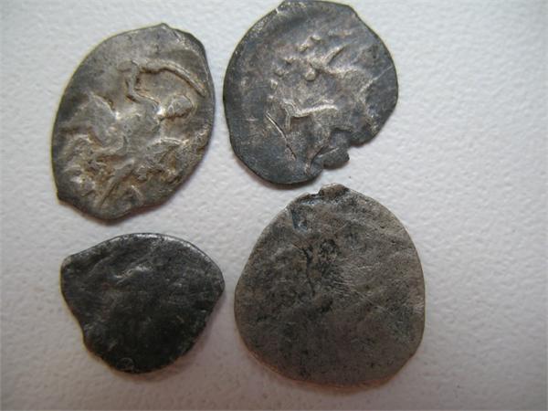 1369.jpg