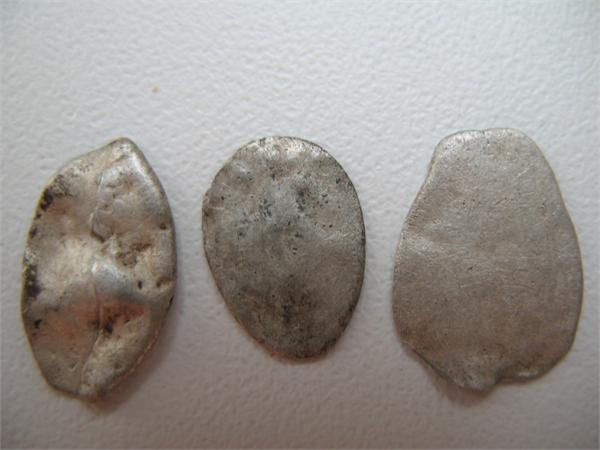1371.jpg