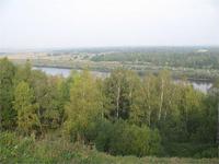 1171.jpg
