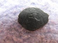 1553.jpg