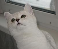 333-IMG_8483