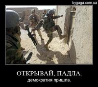 демотиватор