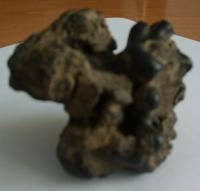 MT1