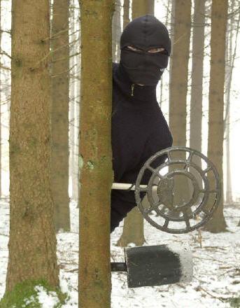 ninja style