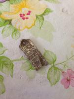 неизвестно