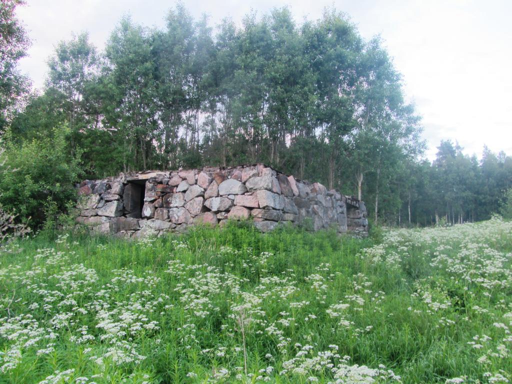 старый домик