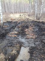 Вот капкан природы