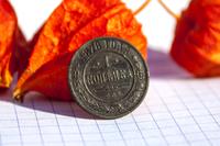 1 Копейка 1878г.