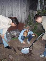 Лето 2008