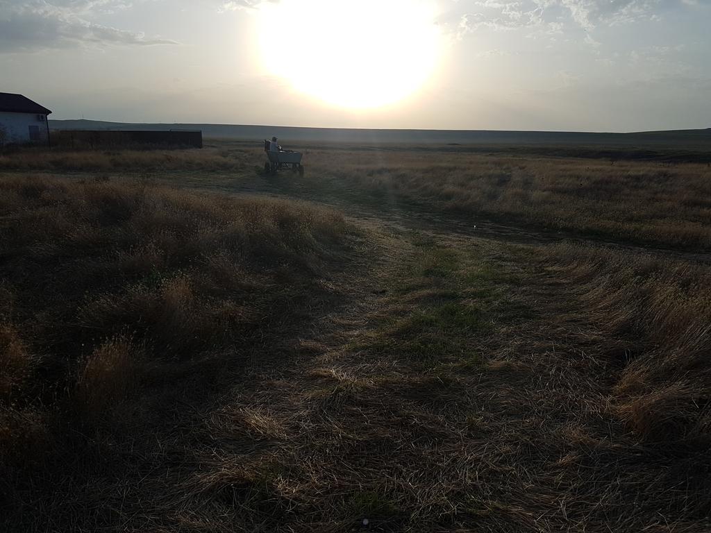 Утро перед отъездом-степь