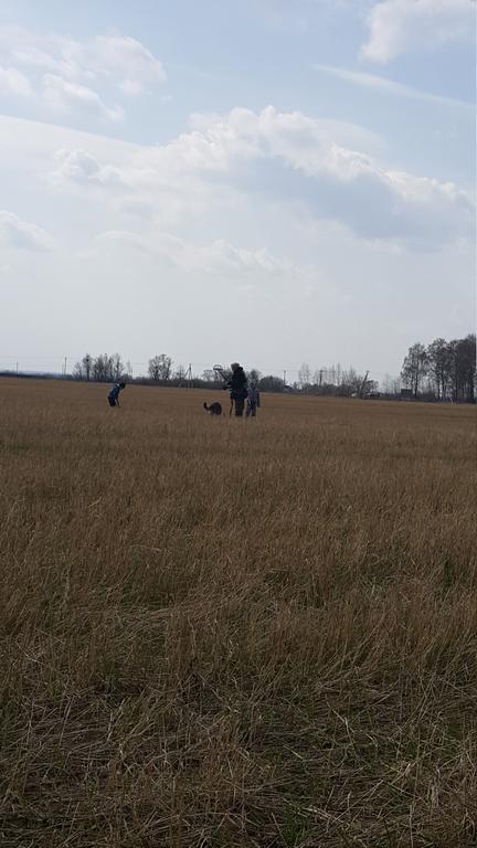 старшее и молодое поколение