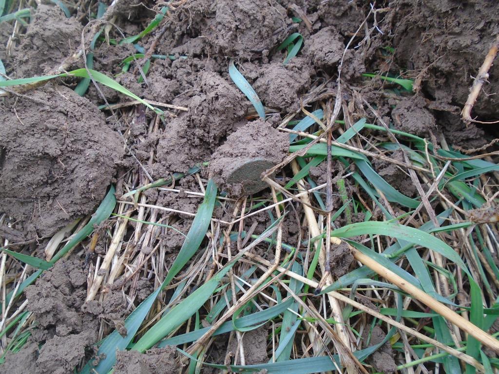 первая монета второго дня