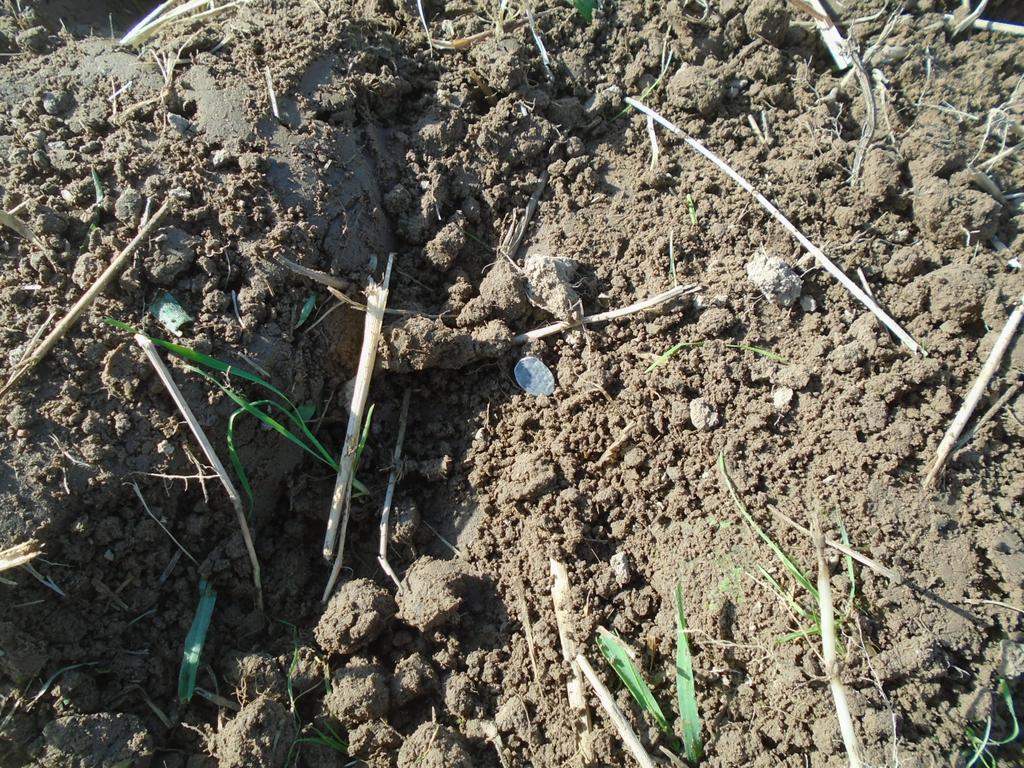 третий выезд и сразу чешуя