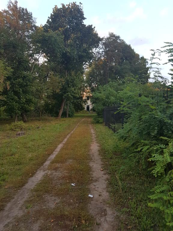 Аллея к усадьбе