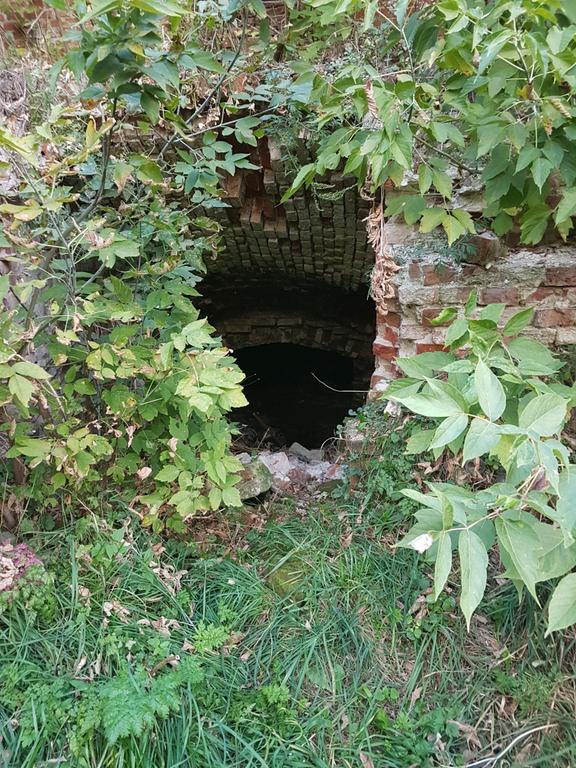 Вход в подвал