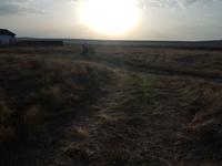 Утро перед отъездом-степь