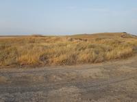 Вид сто стороны раскопа на степные просторы