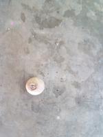 Найденная бусинка