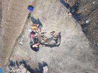 зачистка захоронения