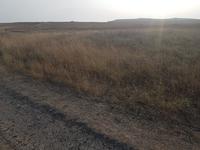 Утром на работу