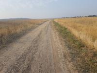 Утром на работу-1