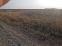 Там вдали наш раскоп