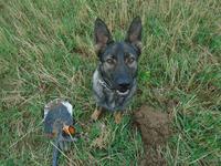 главная кладоискательница