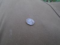 а вот и чешуйка