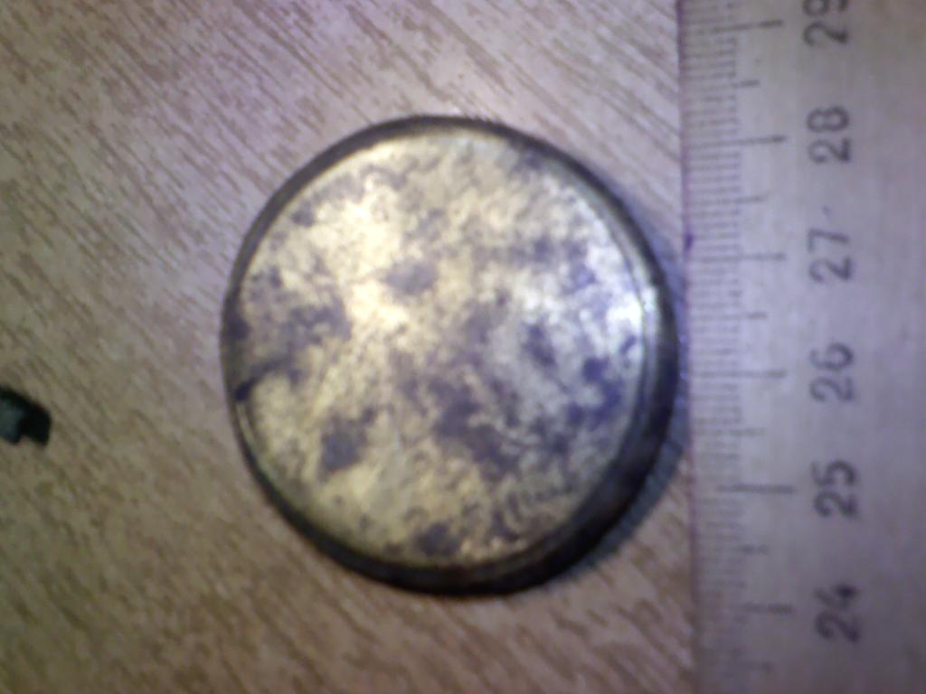 зеркальная бляшка сбруя 