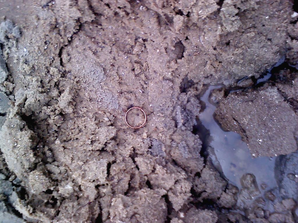 обручалка на 3 г 583пробы