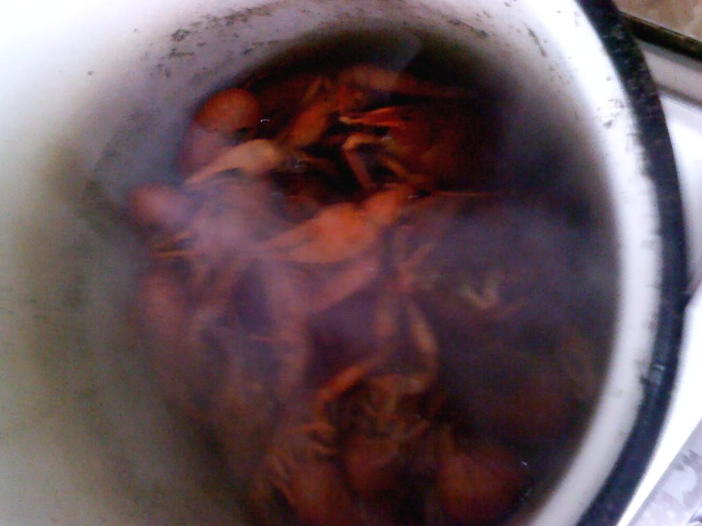 зимние раки