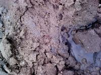 обручалка на 3 г 583пробы