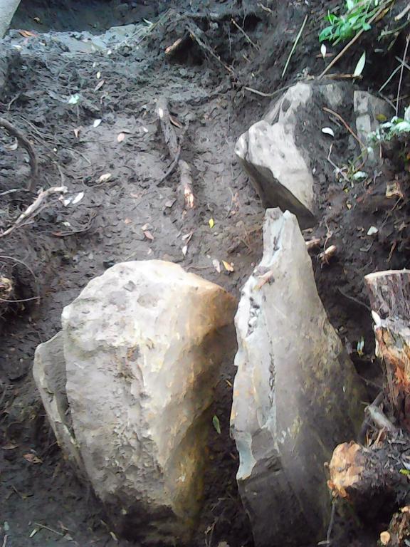 Самострелы