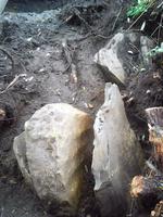 Самострелы