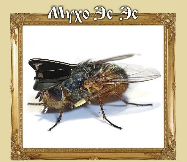 муха
