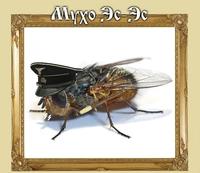 муха