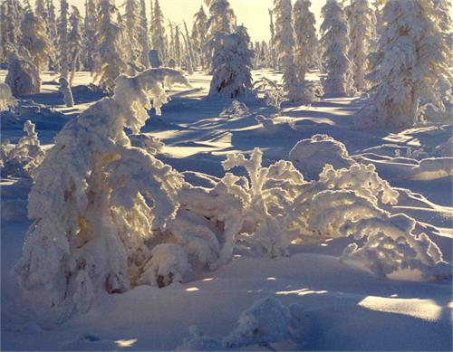 Красивая Сибирская зимушка