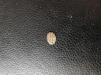 Может кто подскажет?