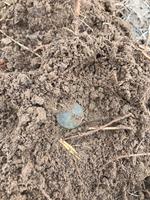 Александр 2 копейка