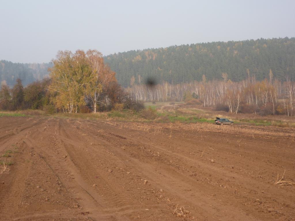 Поляна