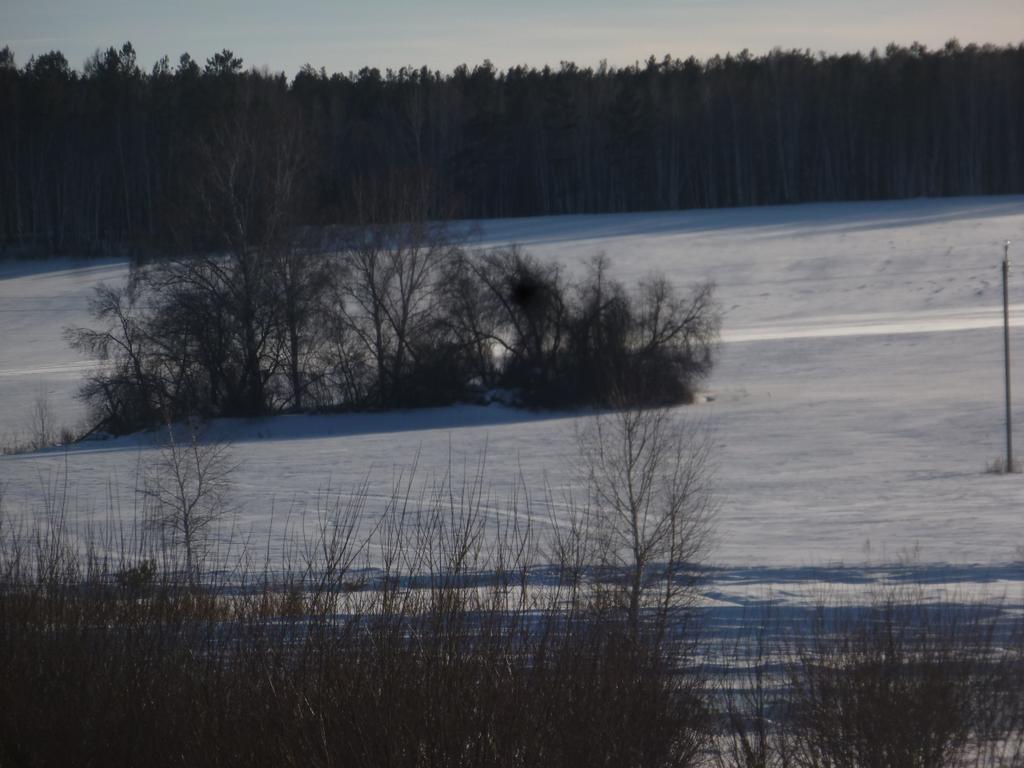 Почуял весну